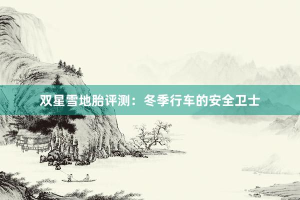 双星雪地胎评测：冬季行车的安全卫士